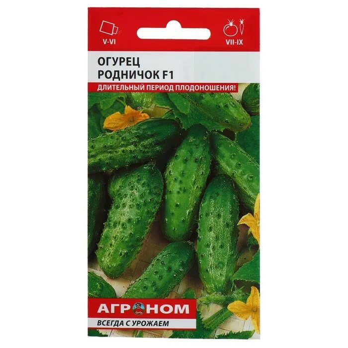 огурец родничок f1 аэлита. огурец родничок 10шт аэлита. огурец клавдия f1 аэлита. огурец родничок f1 10шт/10. огурцы сорт родничок.