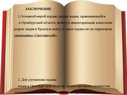 Заключение про книгу