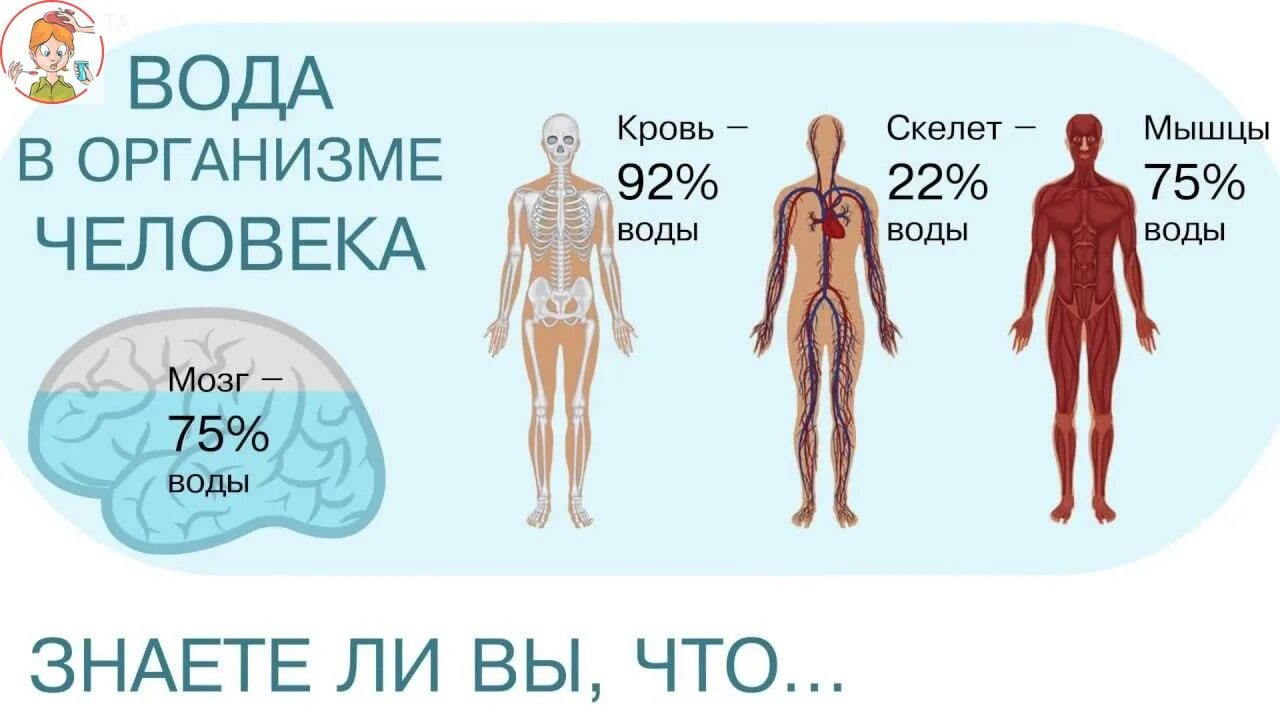 Вода в организме человека кратко. Избыток воды в организме человека. Как проявляется вода в человеке. Польза воды. Как проявляется вода в человеке.
