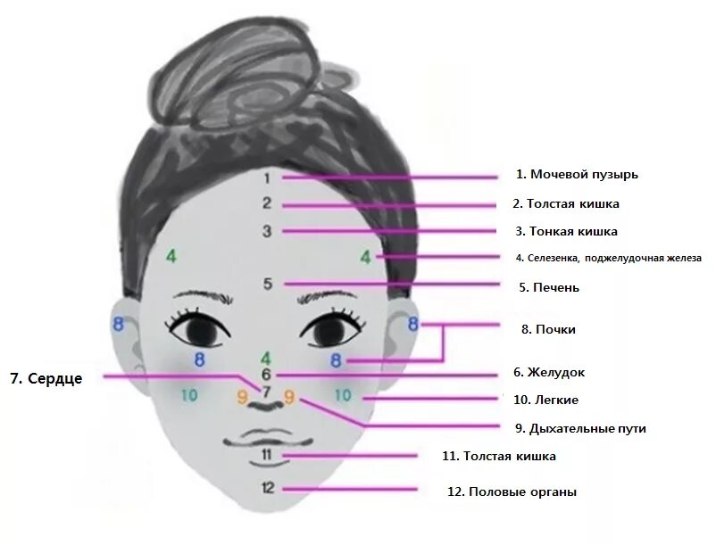 Прыщи на лбу какой орган у женщин. Прыщи на лице по зонам причины. Прыщи на лице по зонам у женщин. Высыпание прыщей на лице по зонам причины. Зоны прыщей на лице.