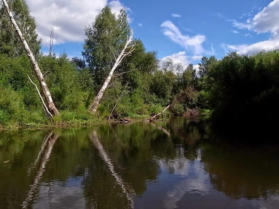 Река восточная двина