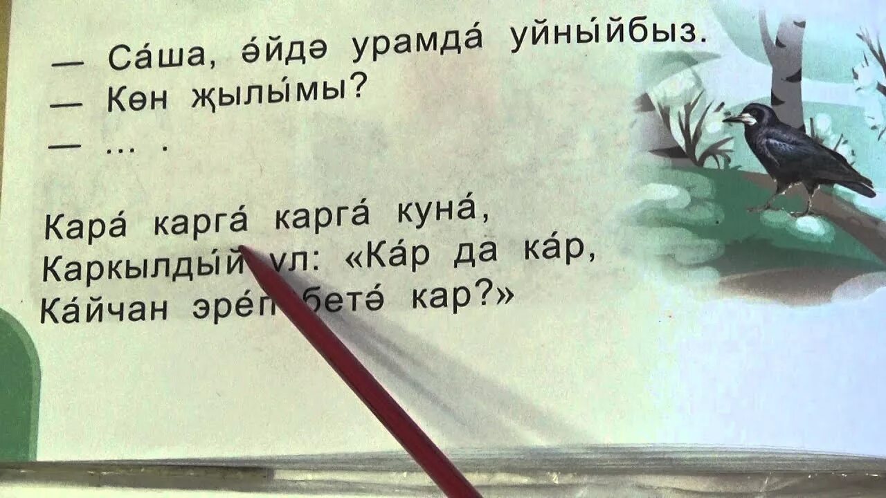 Омонимы на башкирском языке примеры. Омонимы на татарском языке. татарские омонимы. омонимы на татарском языке примеры. предложения с омонимами на татарском языке.