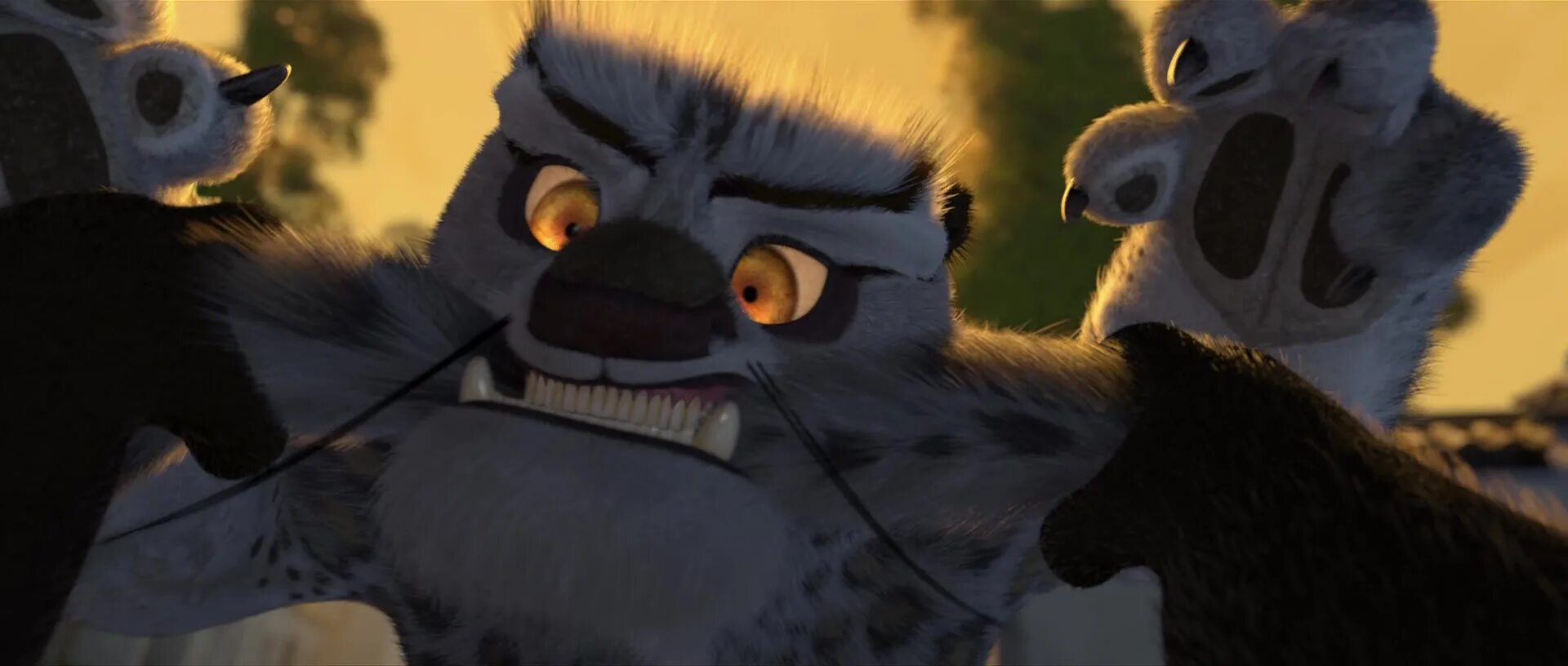 Tai lung kung fu