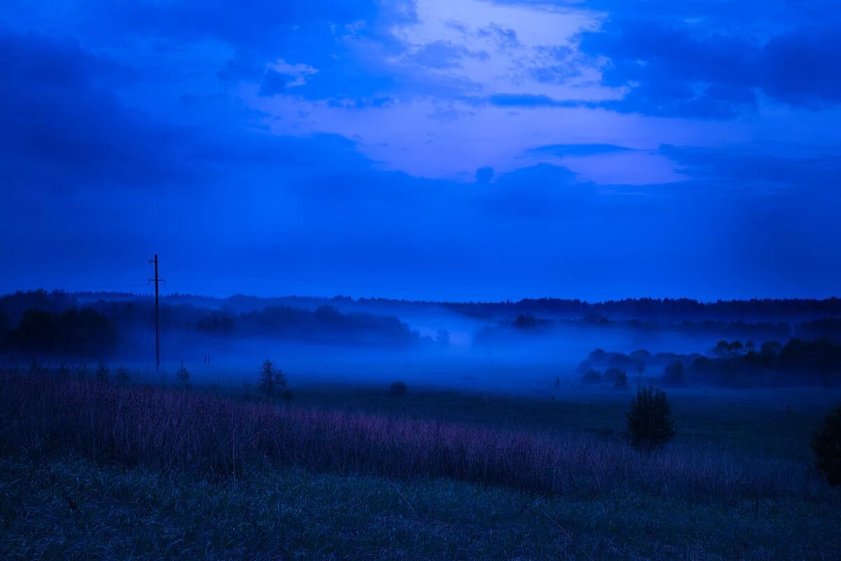 Вечера синь. Синий туман. Пейзажи туман в синих тонах. Туман синее небо. Синий туман ночь.