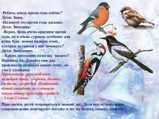 Снегирь рассказ для детей 2 класса. Детские рассказы про птиц. Детские рассказы про птиц. Стихи про зимующих птиц. Детские рассказы про птиц.