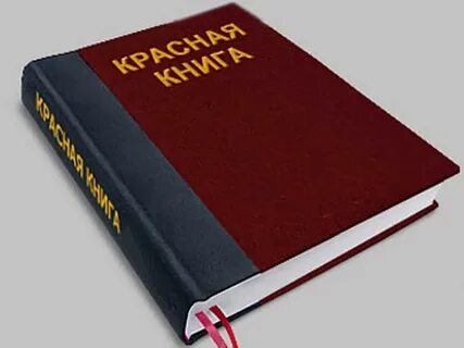 Книга красно белый 4