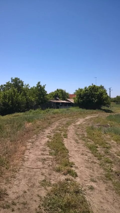 Погода в большинке тарасовского района ростовской области. Большинка Тарасовский район Ростовской области. Хутор Большинка Тарасовского района Ростовской. Село Большинка Тарасовского района Ростовской области. Слобода Большинка.