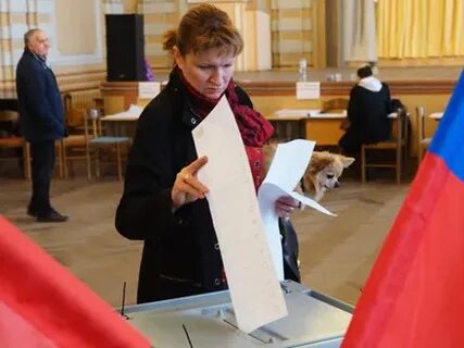 Кто побеждает на выборах в санкт петербурге