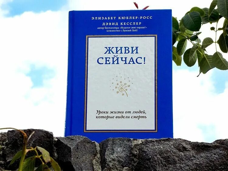 Живи сейчас уроки жизни от людей которые видели смерть. Уроки жизни книга. Живи сейчас книга. Книга уроки жизни от людей которые видели смерть.