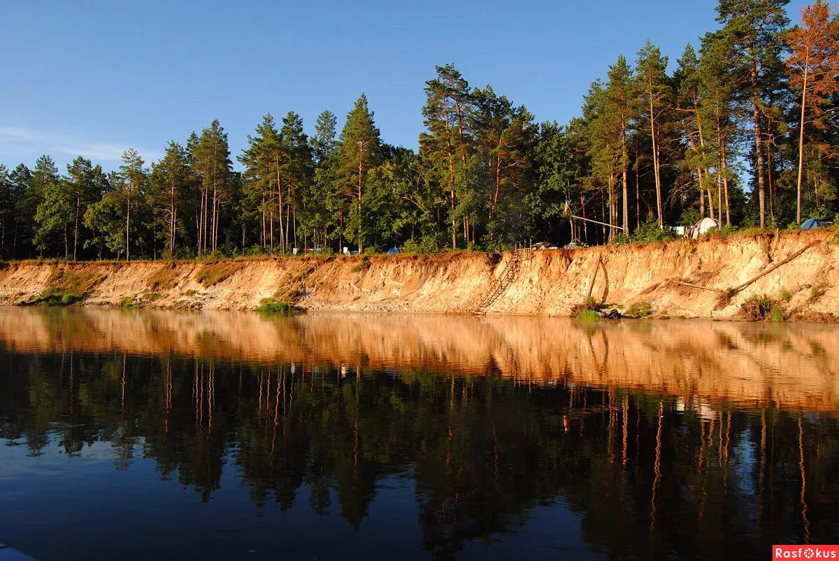 Река Десна Жуковка. Брянск река Березка. Река Десна белая берёзка. Белая Березка поселок Десна. Таежный десна