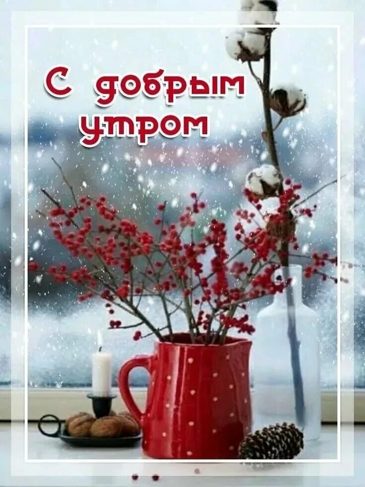 Доброе утро декабря цветы. Доброе морозное утро. доброе воскресное зимнее утро. с добрым морозным утром. пожелания с добрым снежным утром.