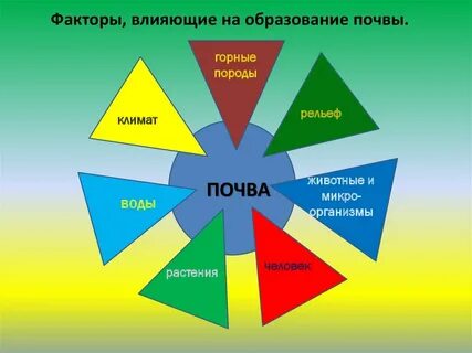 Образование почвы горные породы