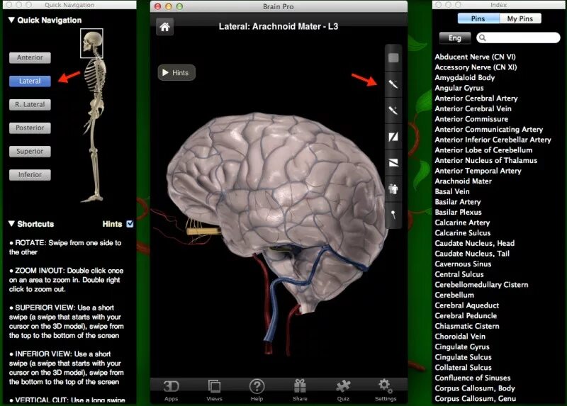 Программы мозга. The Brain программа. Brain Pro Revenge.