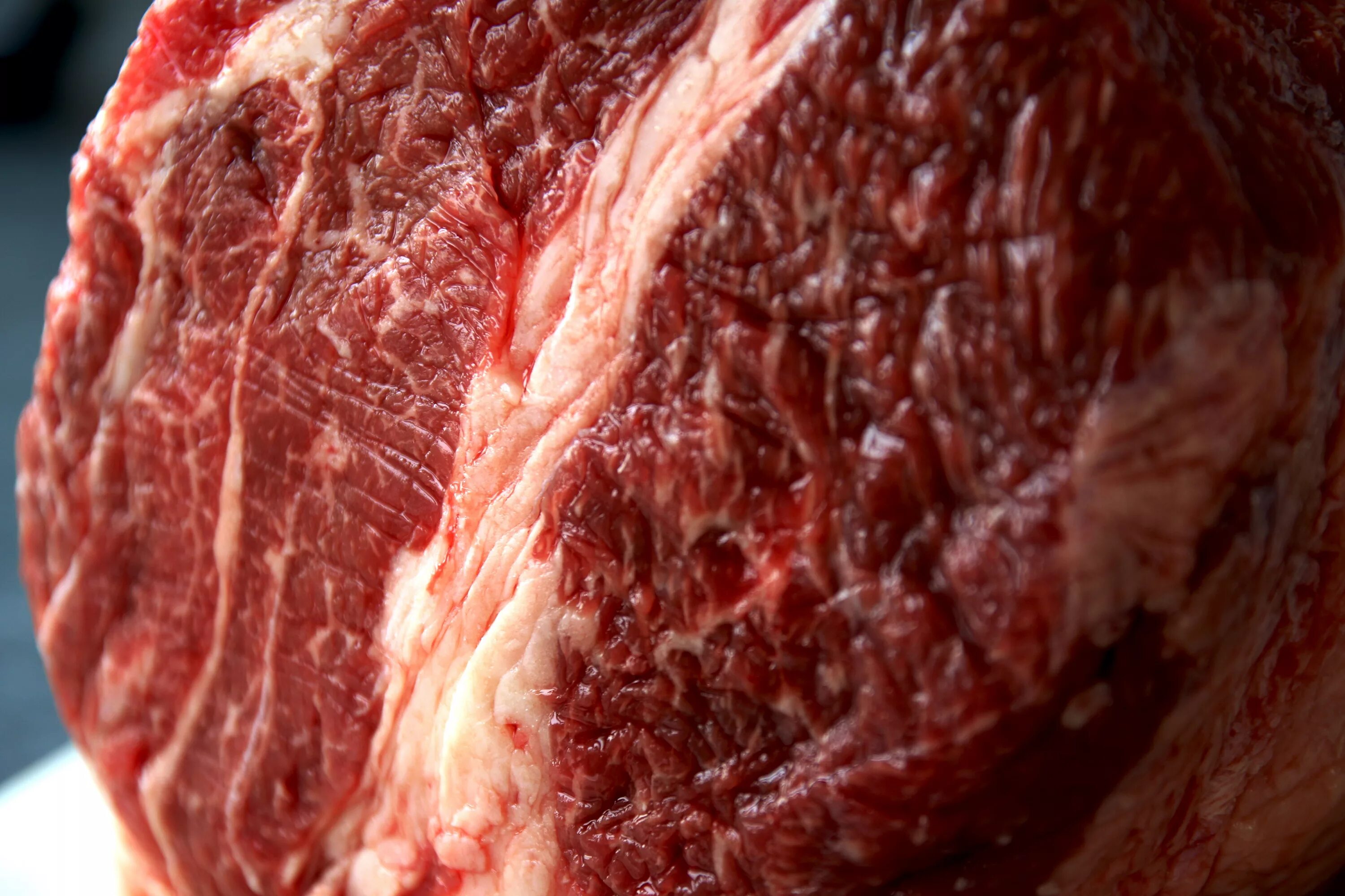 Мясо без крови видеть во. Мясо. Мясо говядина. Кусок мяса говядина.