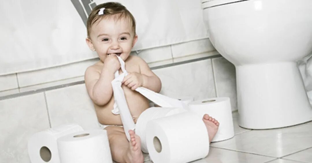 Туалет ап. Картинка не рвать туалетную бумагу. аккуратно рвать туалетку. kid is playing toilet paper.