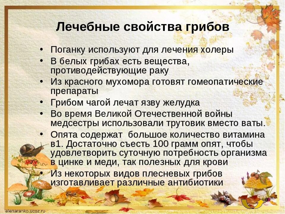 Грибы польза и вред для здоровья человека. Полезные для здоровья грибы. Грибы польза и вред для здоровья человека. Грибы полезные свойства. Грибы полезные свойства.
