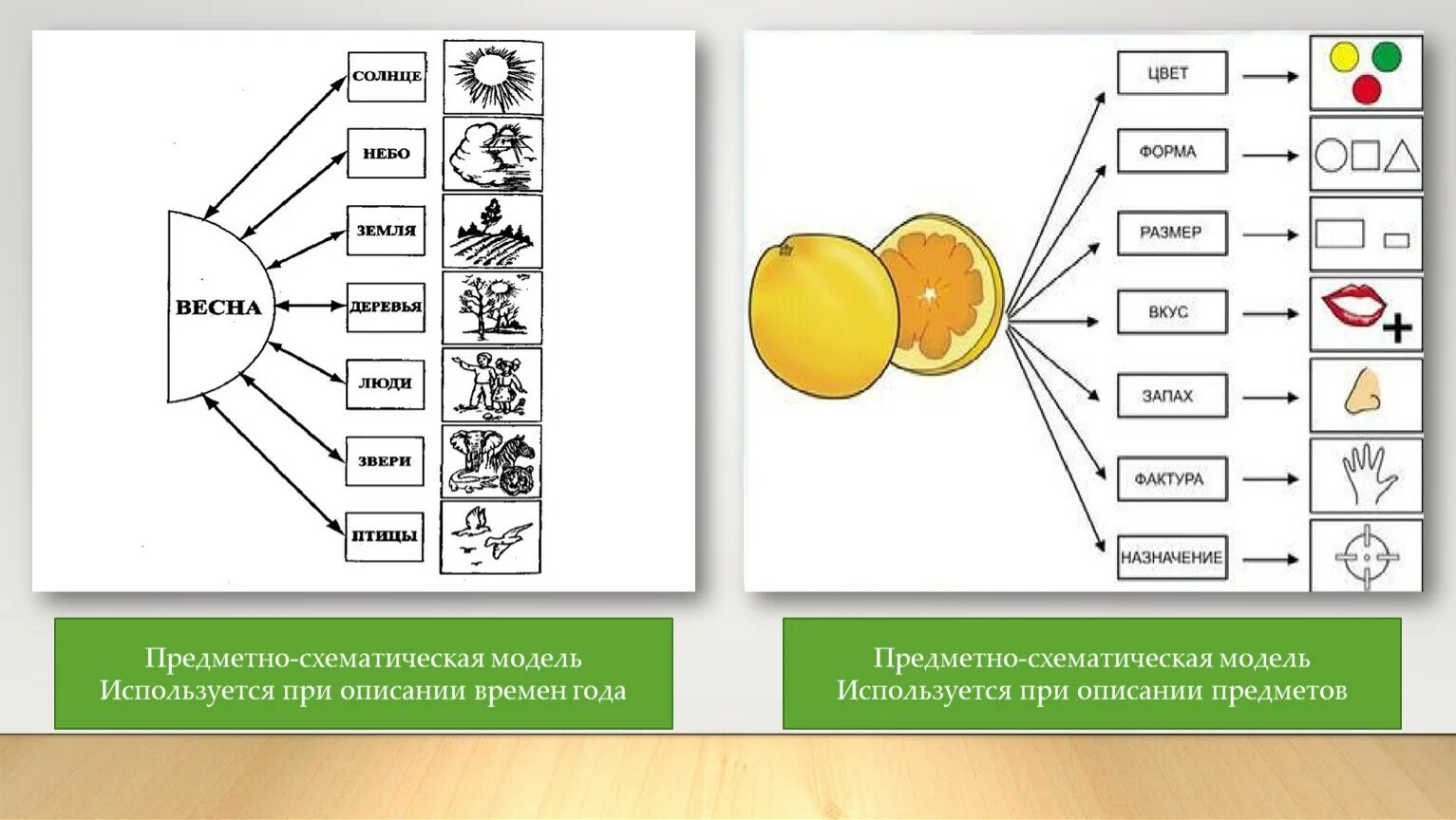Предметно-схематическая модель для дошкольников. Предметно схематическая модель по экологии для дошкольников. Наглядное моделирование. Предметно-схематические модели в детском саду.