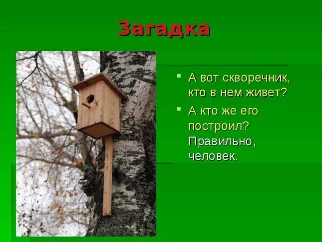 Загадка про скворечник. Загадка про скворечник для детей. Скворечник для детей. Загадка про скворечник для дошкольников. Загадка о скворце 2 класс