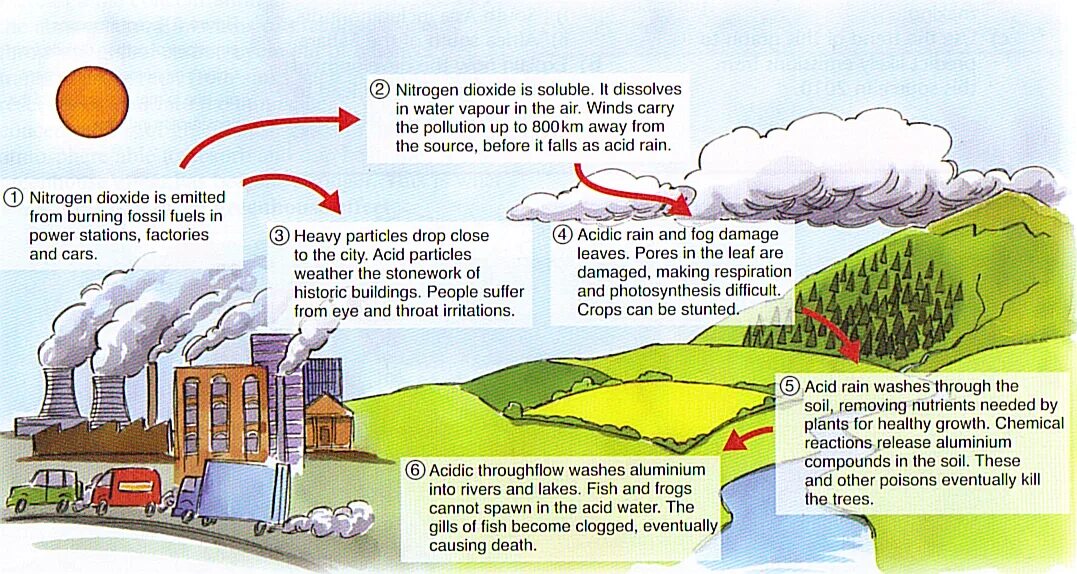 Решение проблемы кислотных дождей рисунок. Что мы можем сделать чтобы решить проблему кислотных дождей рисунок. Решение проблемы кислотных дождей на английском языке. Кислотные дожди плакат. Английский язык 7 класс текст acid rain