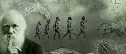 Науки эволюционной биологии