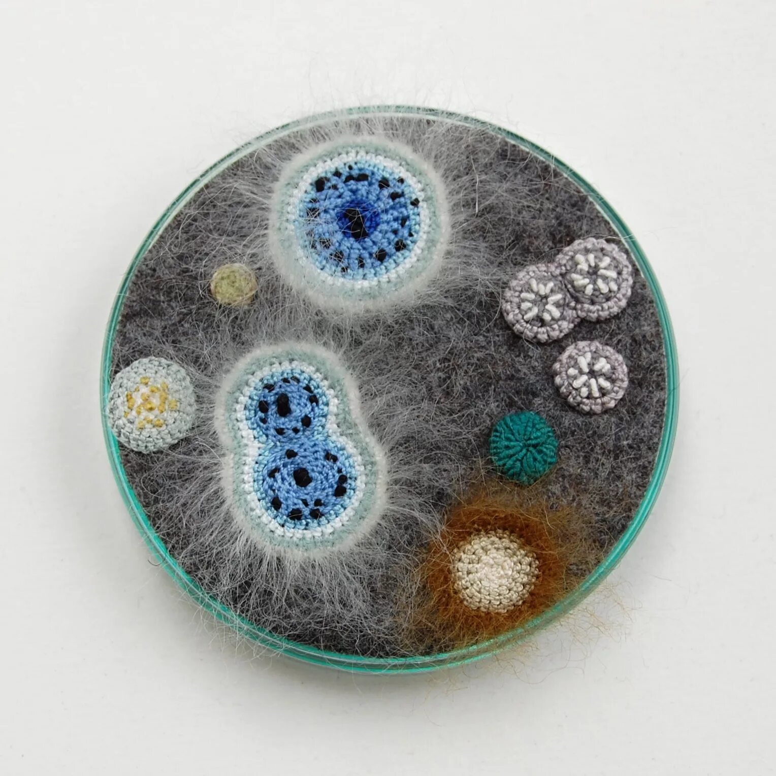 Микроскопические грибы микробиология. Аспергиллус фумигатус. Микробы плесени. Плесневые грибы отомикоз. Плесневые грибы пеницилл.