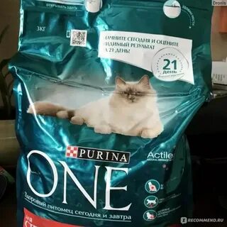 Вайлдберриз кошачьи корма