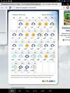 На 2 недели в белгороде