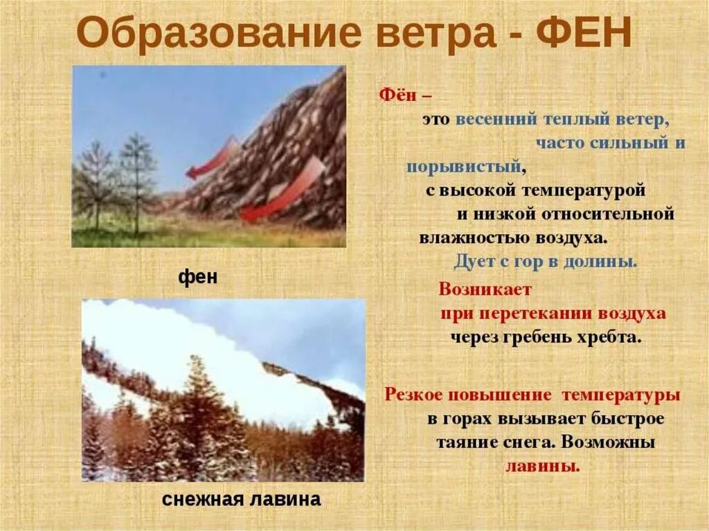 Сильные ветры возникают в. Фен ветер. Фён ветер схема. Специфические горные ветры. Фен и Бора.