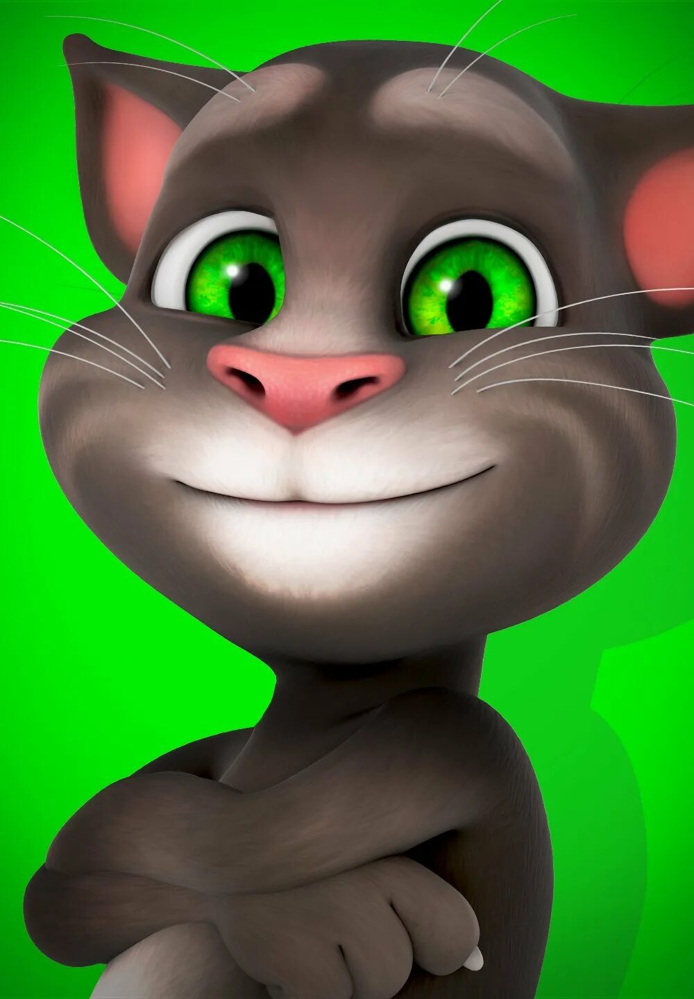 Почему в игре говорящий том. Talking Tom. Talking Tom 2010. Talking Tom Cat. Джинджер outfit7.