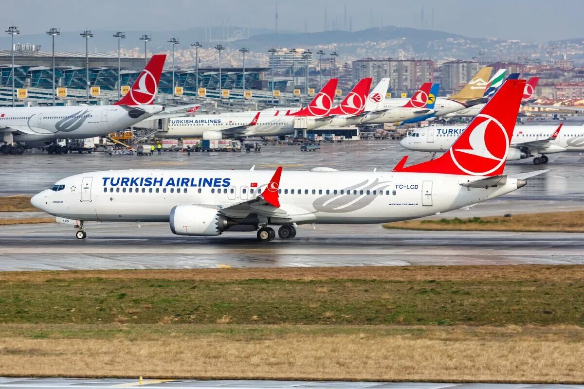 Turkish Airlines авиакомпании Турции. Самолеты Туркиш Аирлинес. В Турцию на Turkish Airlines. Самолеты авиакомпании Туркиш Эйрлайнс.