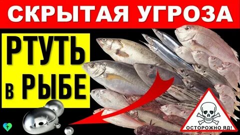 Ртуть в рыбе