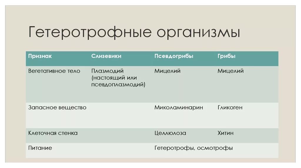 Признаки гетеротрофных организмов