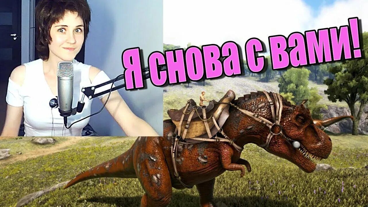 Ариона стрим. Ariona gamer лицо. Ариона вэллнес. Ariona фото. Канал ариона геймер.