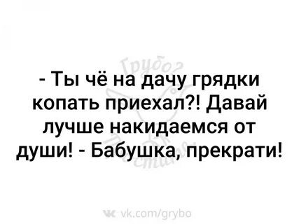 Год не приезжала на дачу