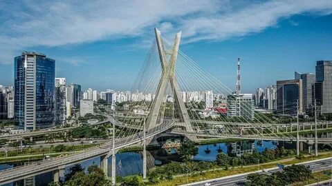 Какое дерево из бронзы в сан пауло