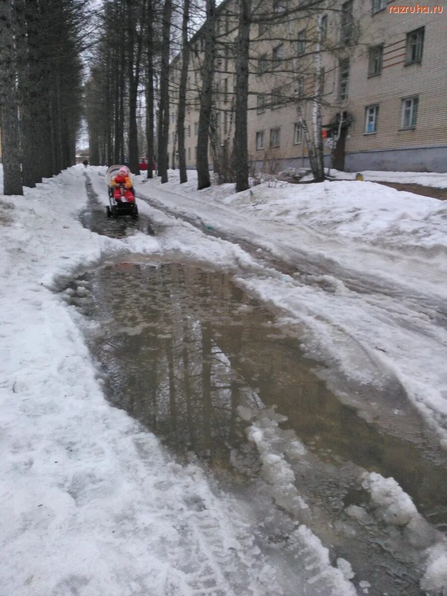 Чехов 7 московская область