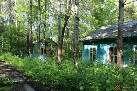 Московская область пионерская