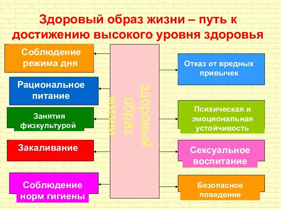 Составляющие здоровья обж 9 класс. Здоровый образ жизни путь к достижению высокого уровня. Основы здорового образа жизни. Составляющие здорового образа жизни. Уровни формирования здорового образа жизни.