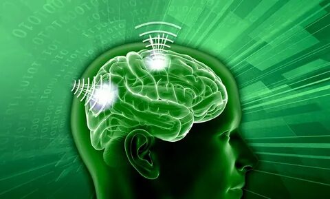 Want brains