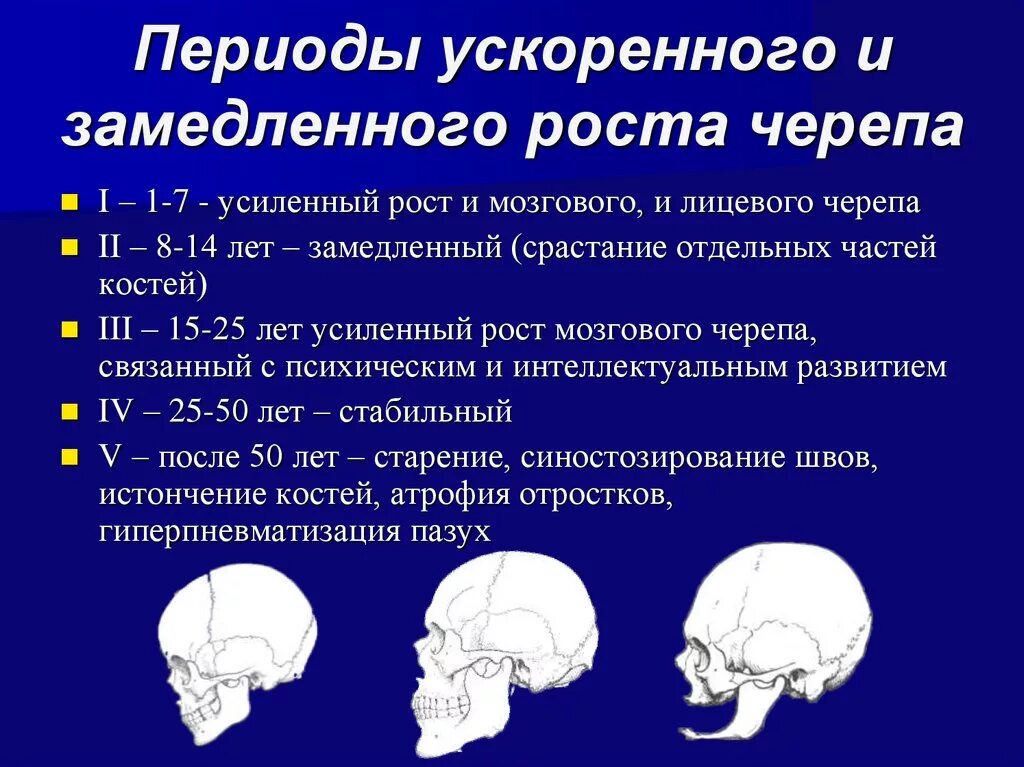 Для какого возраста характерны. Периоды развития черепа. Периоды роста и развития черепа. Периоды ускоренного роста. Этапы развития костей черепа.