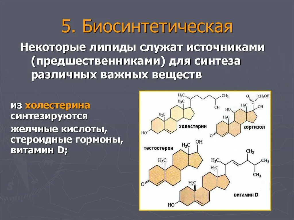 Липиды желчных кислот. Стероидные гормоны это липиды. Гормоны производные холестерола. Холестерин и стероидные гормоны. Гормоны производные холестерина.