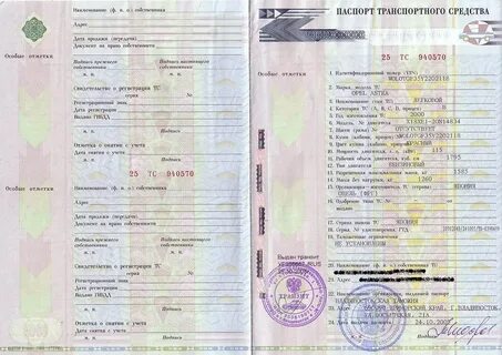 Дата выдачи стс по номеру