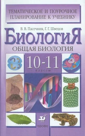 Тематическое и поурочное планирование