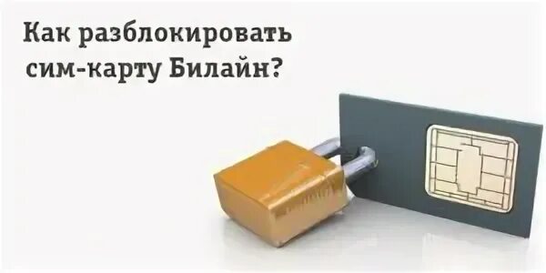 Если нужно заблокировать сим-карту, а номер терять не хочется: операторы предост