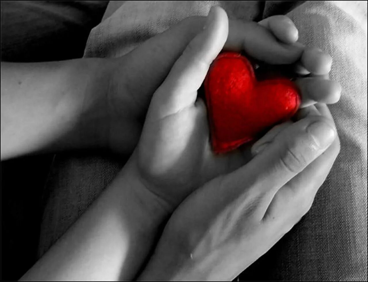Твоим сердцем стучит второе. Сердце в руках. Сепдцемв руках. Дарю сердце. Сердце в мужских ладонях.