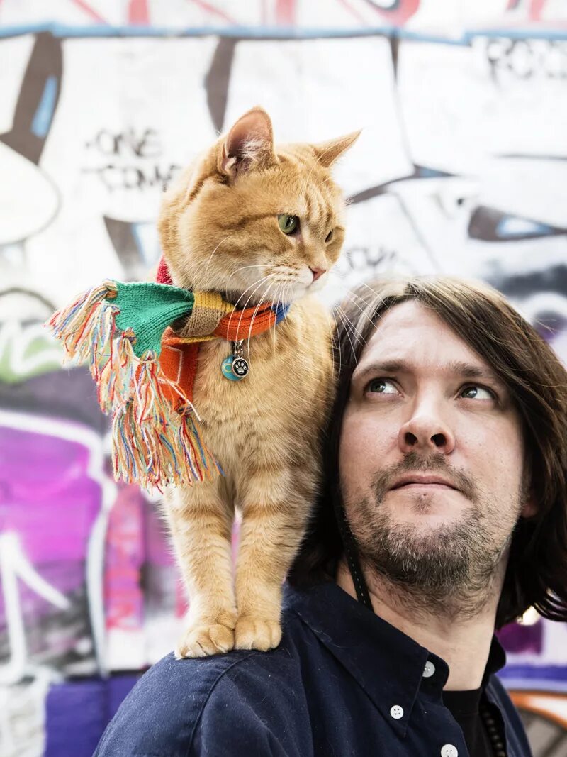 Кот боб. Джеймса боуэна. Кот боб 1. Кот боб 1. Люк тредэвэй кот боб.