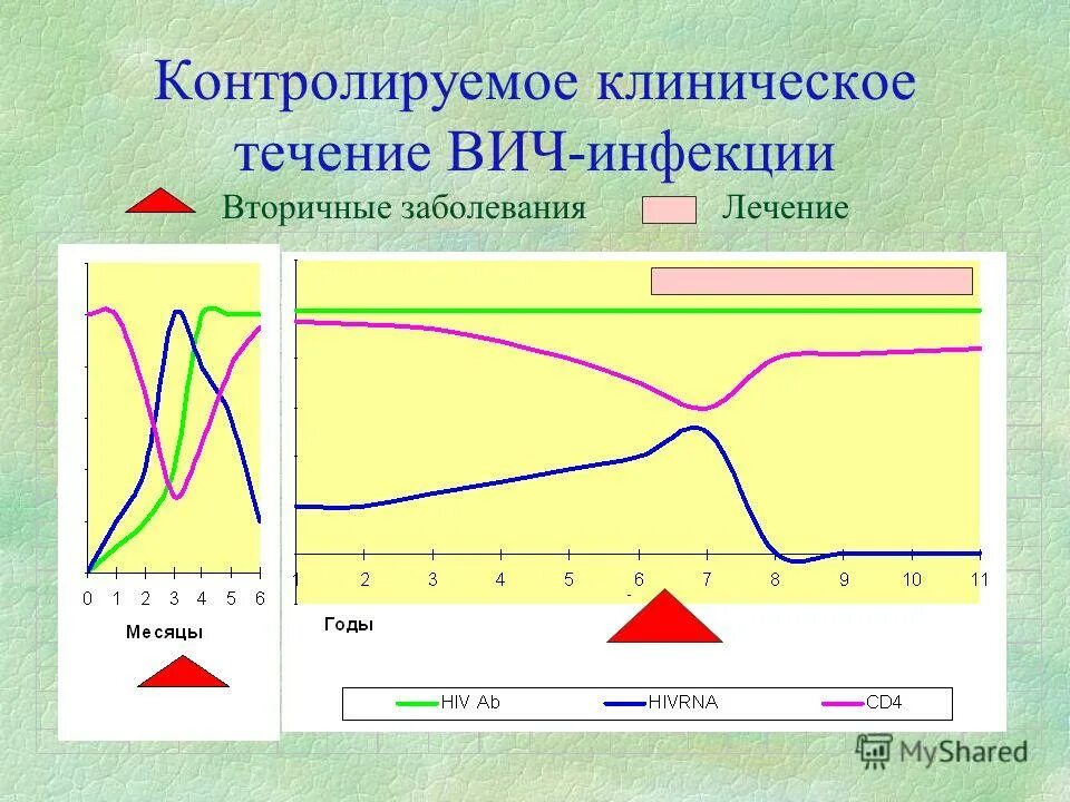 Течение вич инфекции. Клинические варианты течения СПИДА. Клиническое течение ВИЧ. Течение ВИЧ инфекции график. Клиническое течение ВИЧ инфекции график и объяснения.