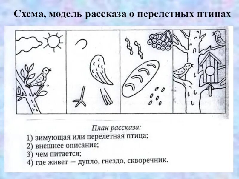 Развитие речи птицы весной подготовительная группа. Схема составления рассказа о перелетных птицах. Перелетные птицы задания для дошкольников. Задания для подготовительной группы на тему птицы. Схема составления рассказа о птицах.