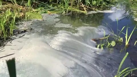 Видео сбросов