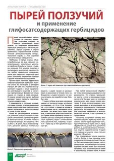 Избавиться от пырея сорняков